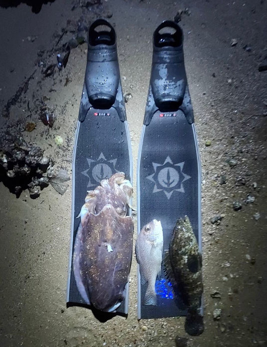 Sunnyoceaner Carbonfins 中軟板 漁獵長板 配 潛泳腳套