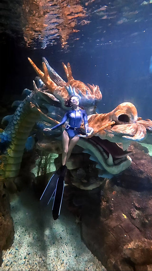 Sunnyoceaner Carbonfins 特長板 配潛泳腳套 (限量發售)