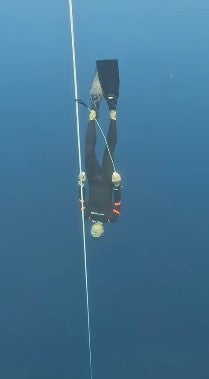 Sunnyoceaner carbonfins 標準短板 配 X-wing 腳套